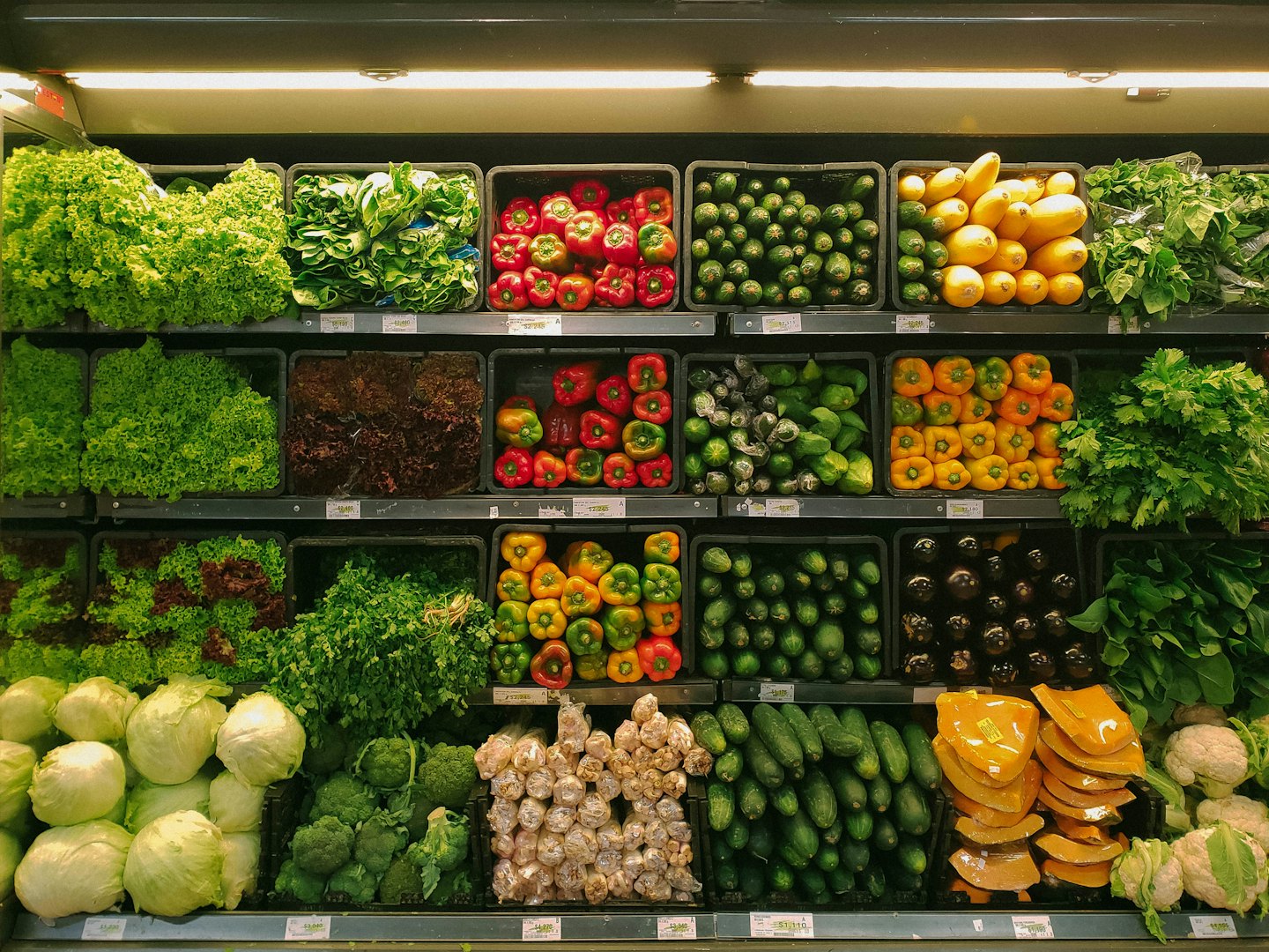 Fresh vegetables neatly arranged in a grocery store produce section.